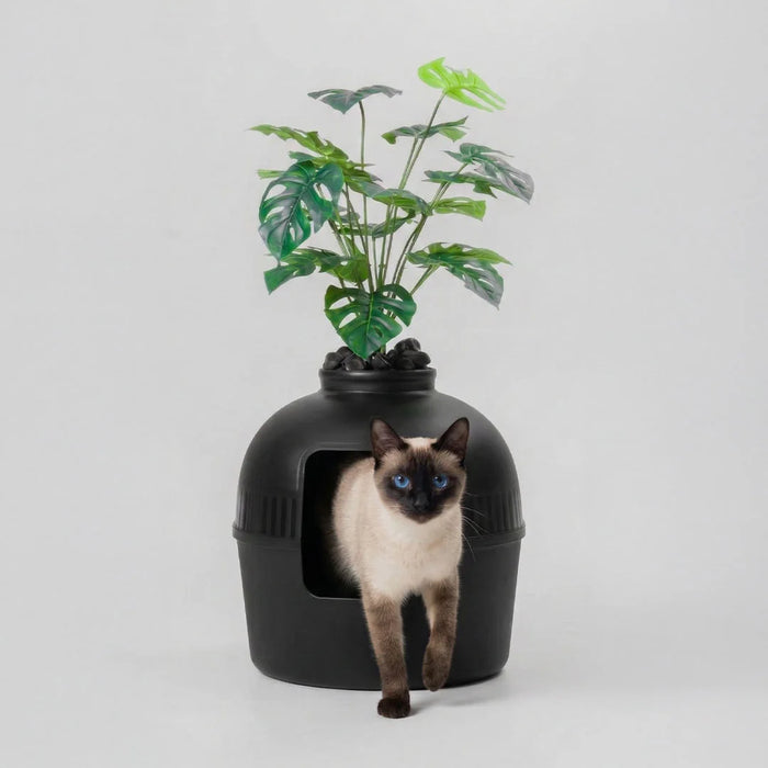 Siyah Dekorapet dekoratif kedi tuvaleti kedisiyle
