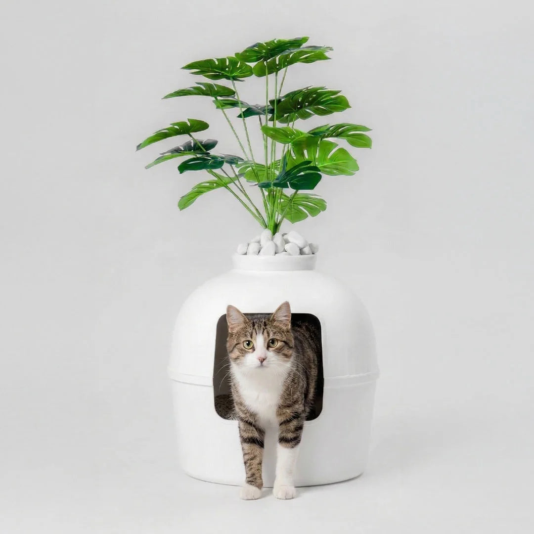 Beyaz Dekorapet dekoratif kedi tuvaleti kedisiyle
