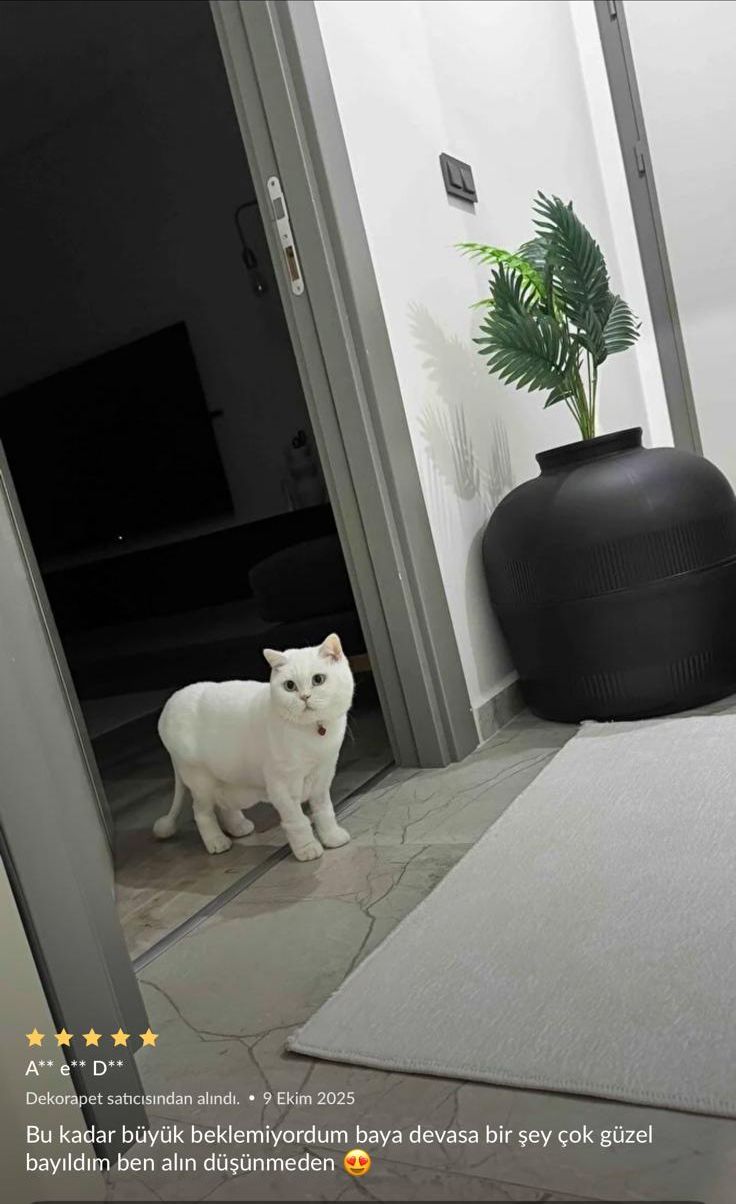 Dekorapet dekoratif kedi tuvaleti — müşteri fotoğrafı ve yorumu