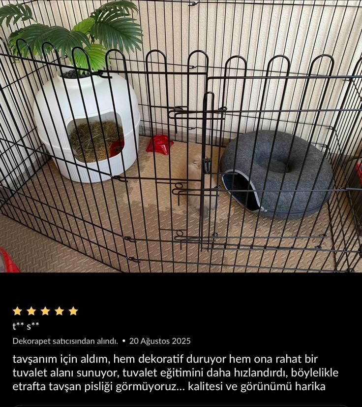 Dekorapet dekoratif kedi tuvaleti — müşteri fotoğrafı ve yorumu