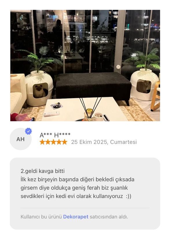 Dekorapet dekoratif kedi tuvaleti — müşteri fotoğrafı ve yorumu