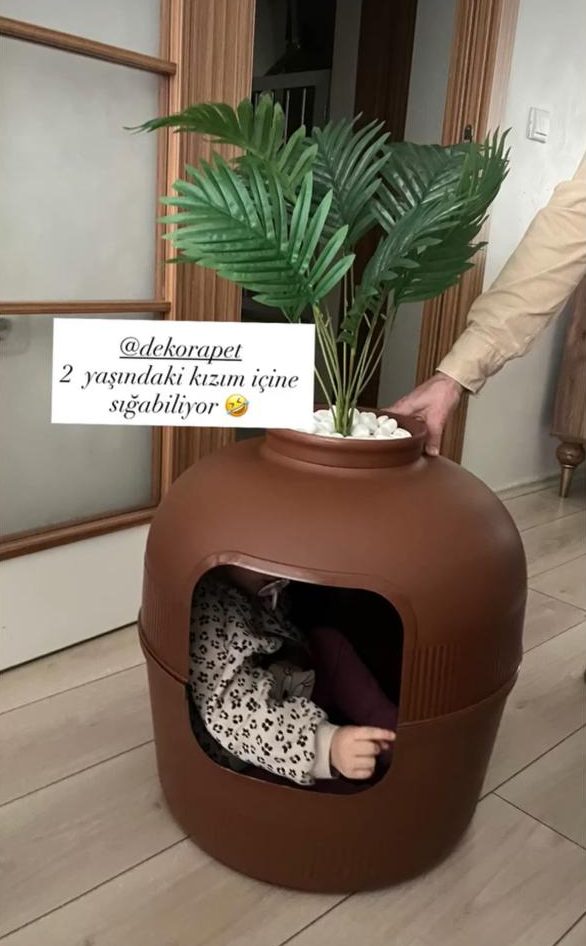 Dekorapet dekoratif kedi tuvaleti — müşteri fotoğrafı ve yorumu
