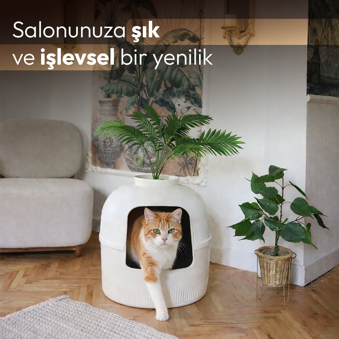 Beyaz Dekorapet salon dekorasyonunda
