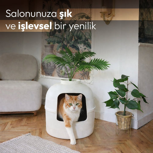 Beyaz Dekorapet salon dekorasyonunda