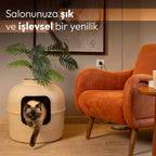 Latte Dekorapet salon dekorasyonunda