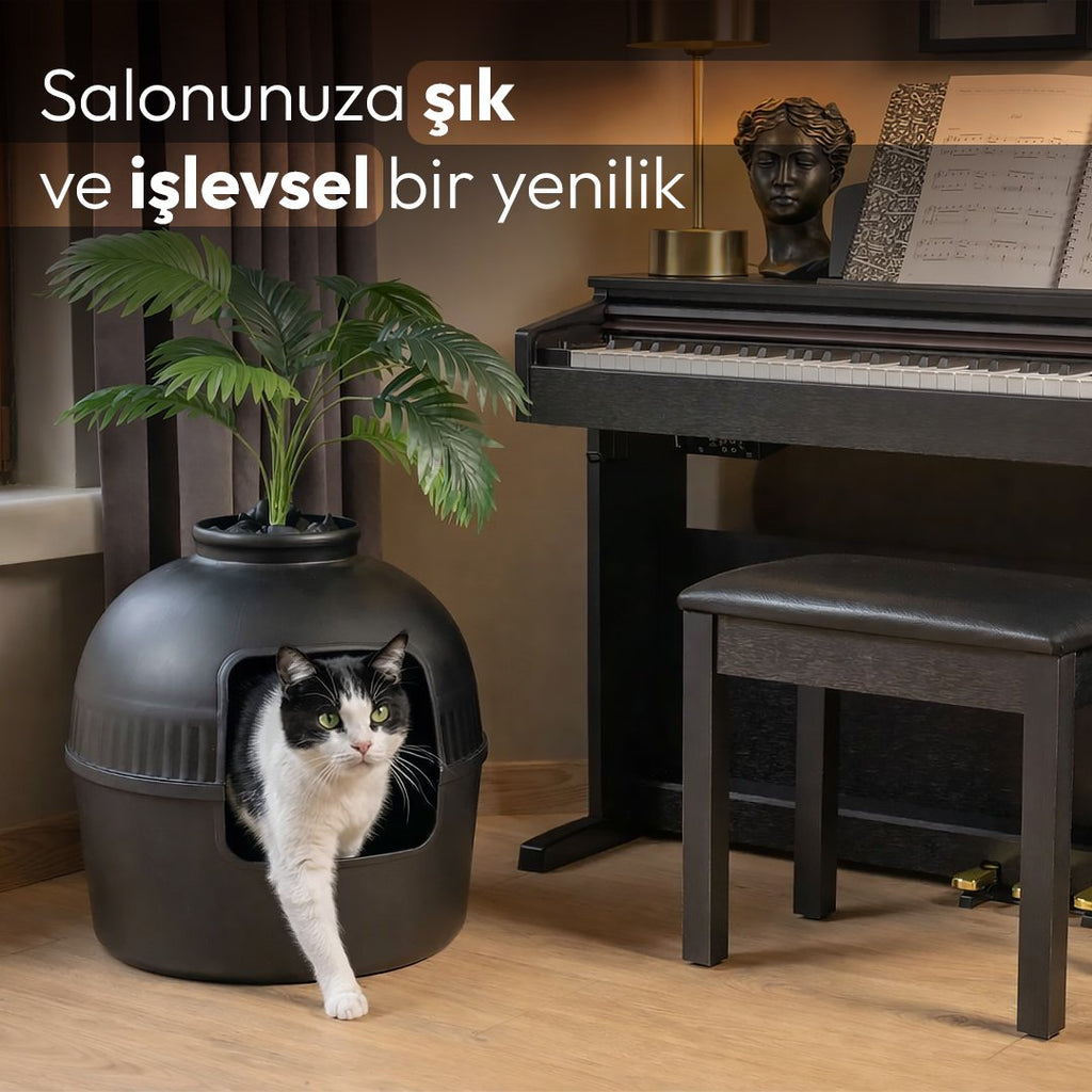 Siyah Dekorapet piyanolu salonda