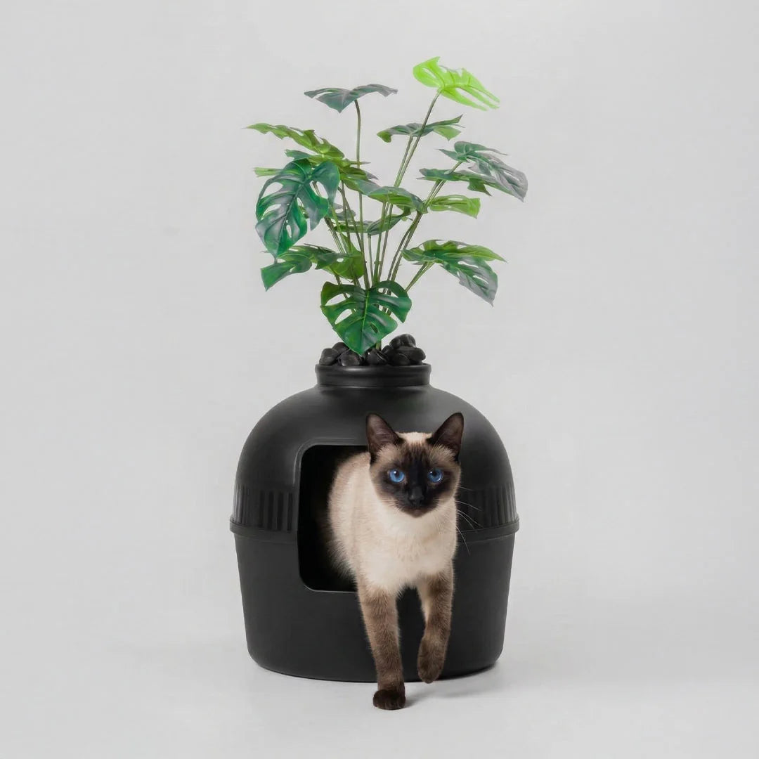 Siyah Dekorapet dekoratif kedi tuvaleti kedisiyle